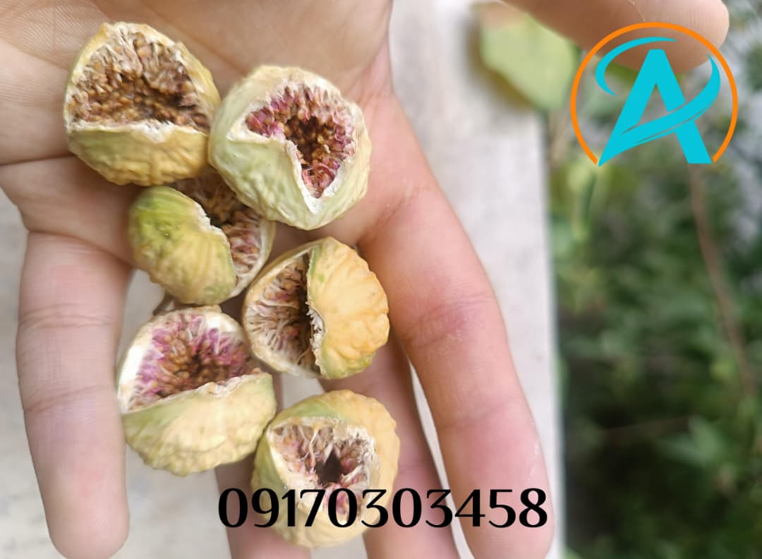 صادرات انجیر خشک مرغوب ایرانی از شرکت آسا خشکبار با کیفیت درجه یک برای بازارهای جهانی