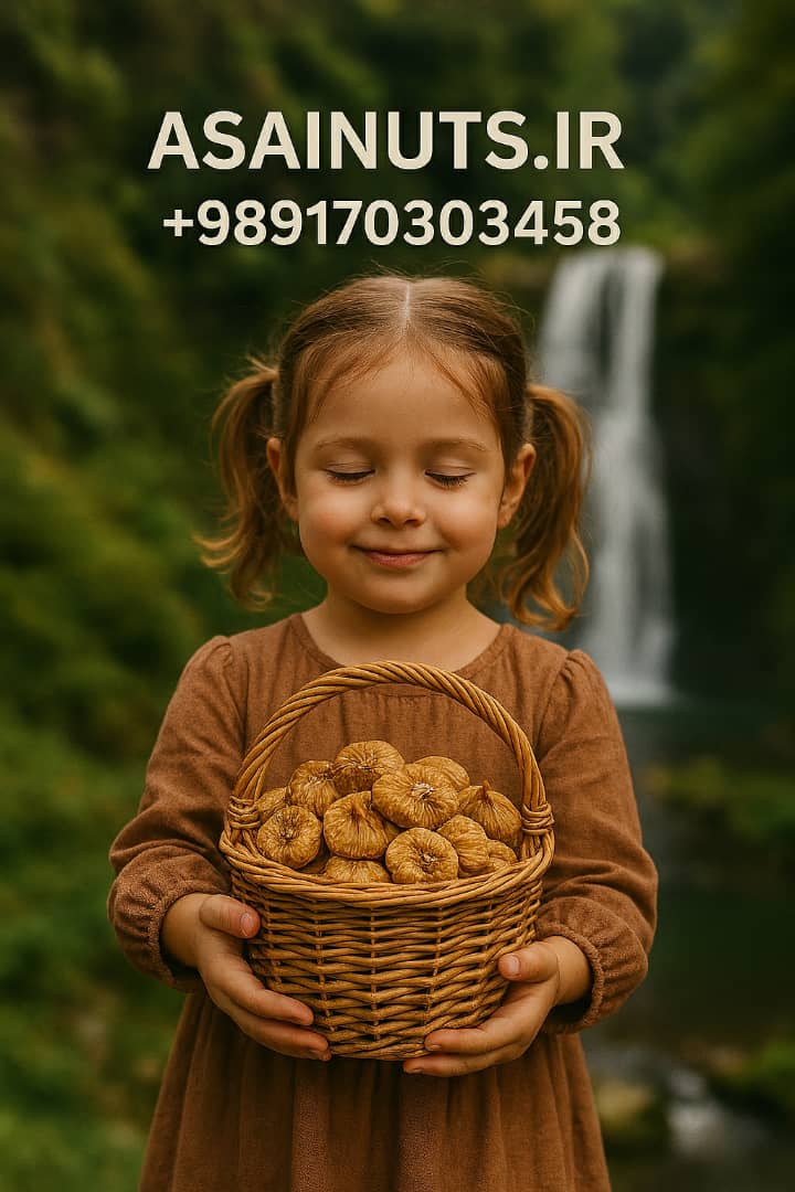 دختر کوچولو با سبدی پر از انجیر خشک طبیعی در دست