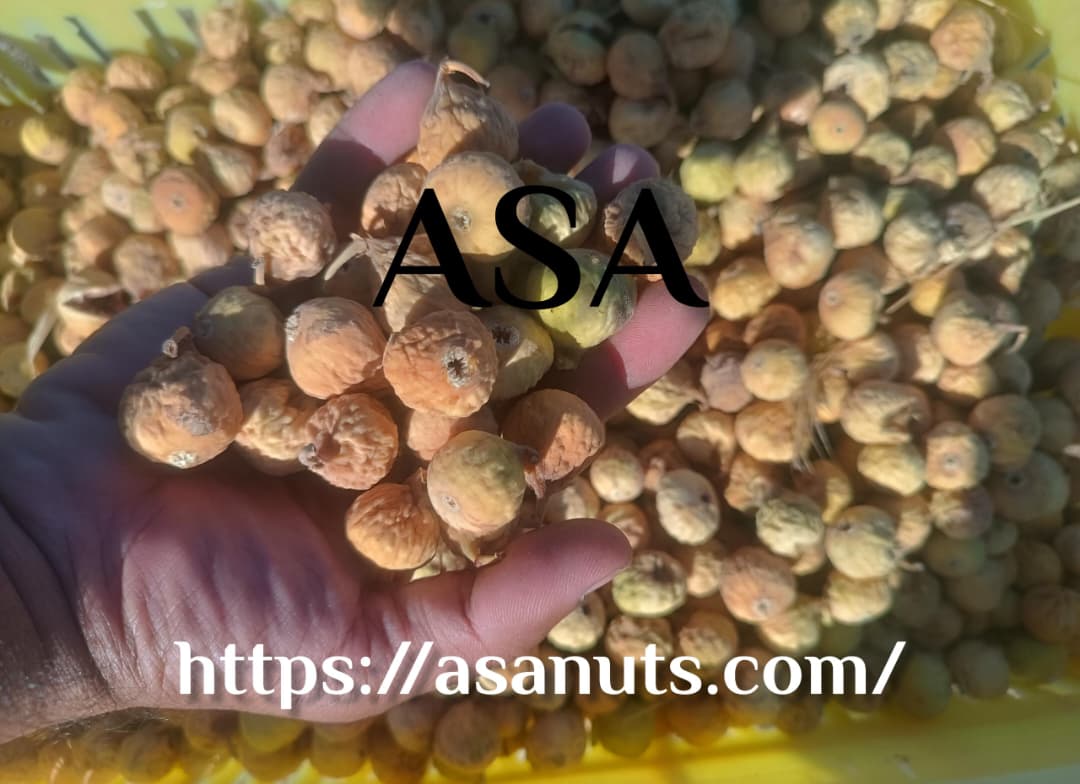 انجیر خشک سایز AAA استهبان – محصول طبیعی و صادراتی آسا خشکبار