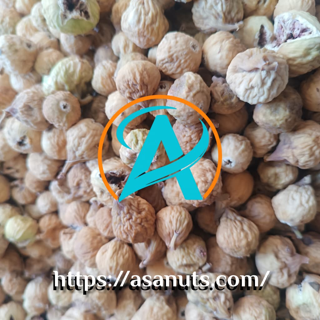 لوگوی برند آسا خشکبار با طراحی الهام‌گرفته از طبیعت، نماد تخصص در تولید و صادرات انجیر خشک ایرانی