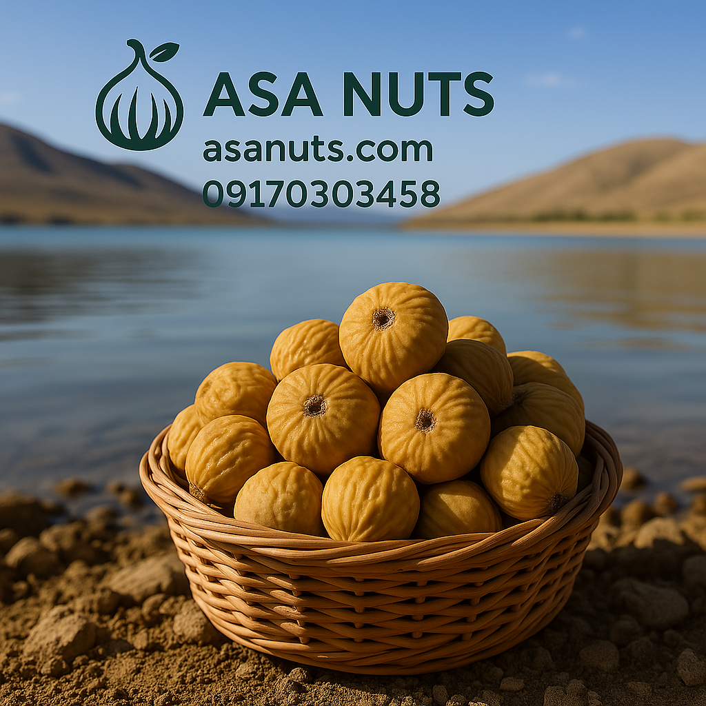 انجیر خشک درشت و طلایی از برند آسا خشکبار با بسته‌بندی صادراتی – مناسب خرید کیلویی و عمده