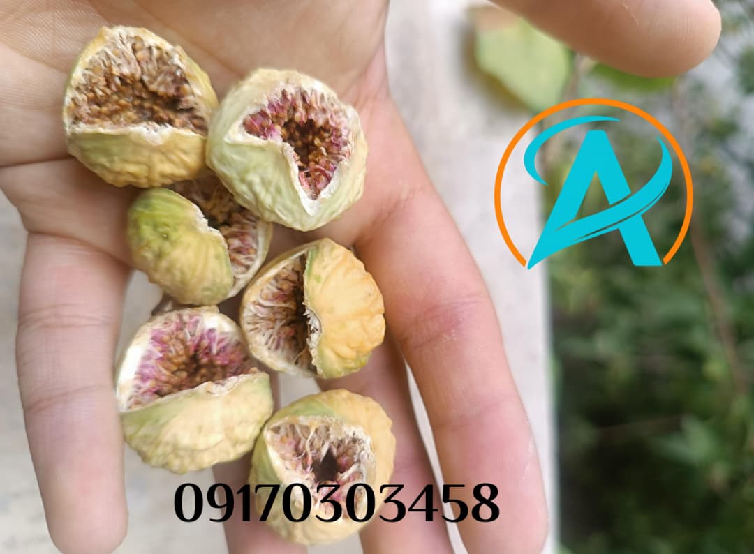 خرید عمده انجیر خشک شیراز آسا خشکبار با کیفیت صادراتی