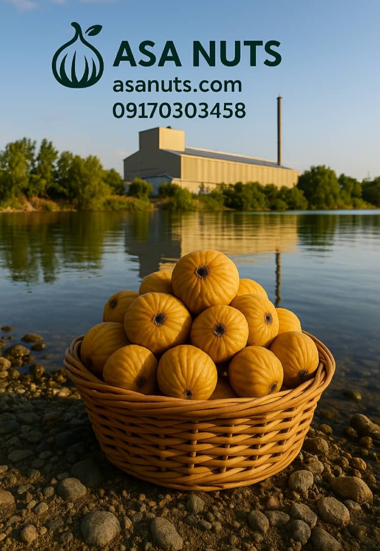 سبد انجیر دهان‌بسته در نمای صنعتی کارخانه فرآوری خشکبار