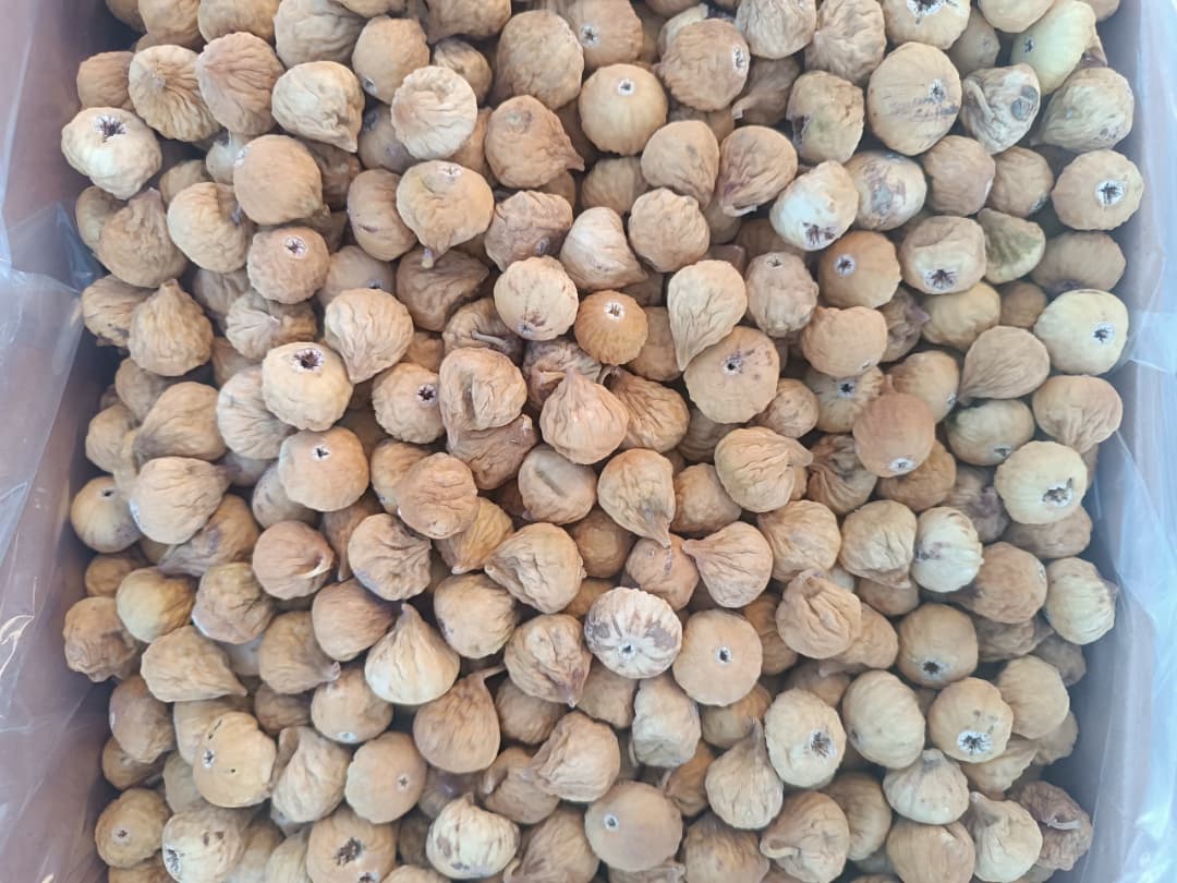 انجیر دست‌چین طلایی استهبان با بافت لطیف و رنگ طبیعی، مناسب برای صادرات و مصرف خانگی