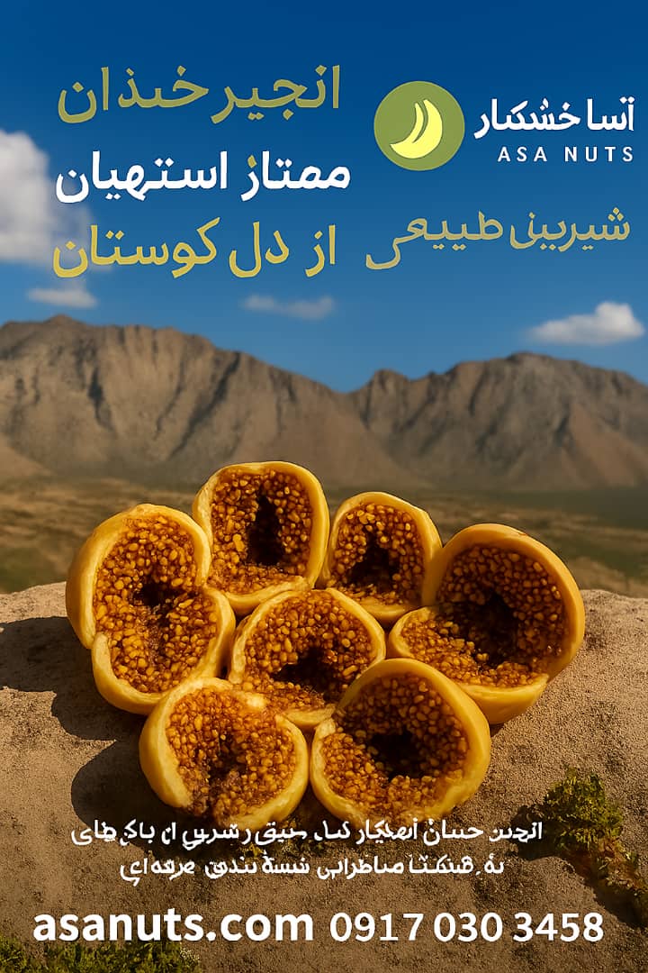 انجیر خندان آسا خشکبار – لبخند طبیعت از دل استهبان