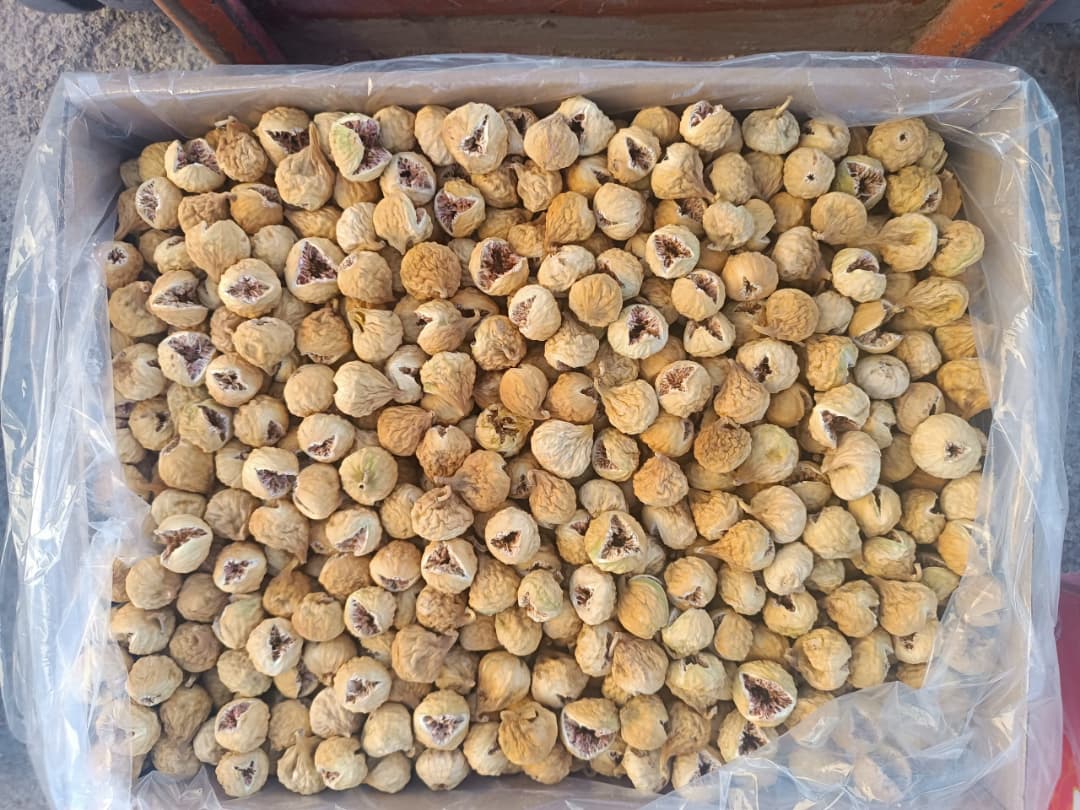 نمای نزدیک از انجیر خشک لوکس فارس با رنگ طلایی و بافت طبیعی، چیده‌شده از باغ‌های جنوب ایران