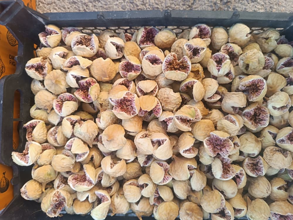 انجیر پرک فارس تازه و خشک شده با رنگ طبیعی و بافت نرم، مناسب برای تغذیه سالم و تقویت بدن.