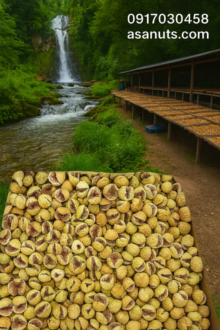 انجیر خشک در کنار آبشار طبیعی در فضای سبز کوهستانی