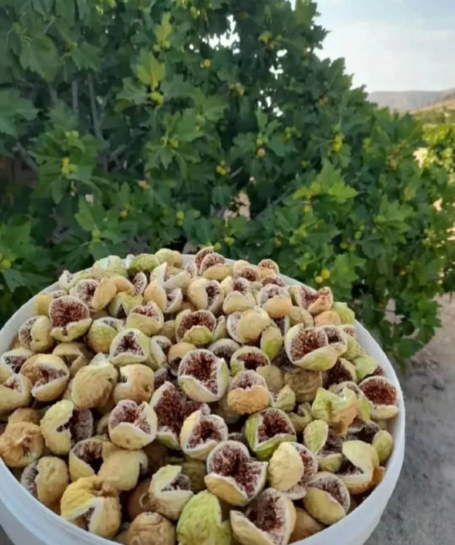 انجیر خشک پرک ممتاز فارس با رنگ طلایی، بافت نرم و طعم طبیعی شیرین، مناسب برای مصرف روزانه و صادرات