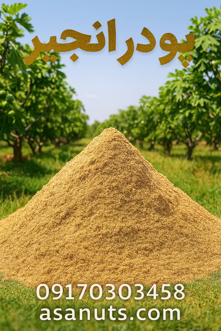 پودر انجیر طبیعی آسا خشکبار؛ از دل انجیرستان‌های فارس تا سفره شما