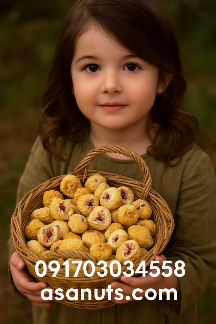 دختر بچه‌ای زیبا با موهای قهوه‌ای و لباس سبز، در حال نگه‌داشتن سبدی پر از انجیر خشک طلایی است. شماره تماس 09170303458 و آدرس سایت asanuts.com در پایین تصویر درج شده‌اند.