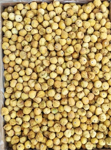 انجیر خشک کارتن شده