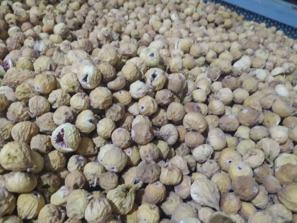 انجیر خشک 