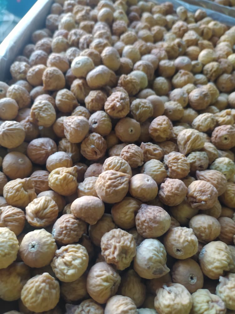 انجیر خشک استهبان