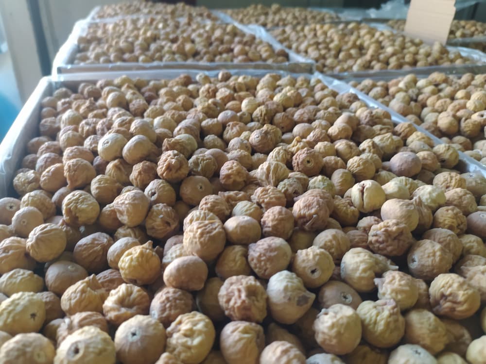 انجیر خشک کارتن شده 