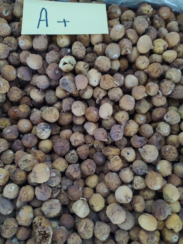 انجیر ضایعاتی 2