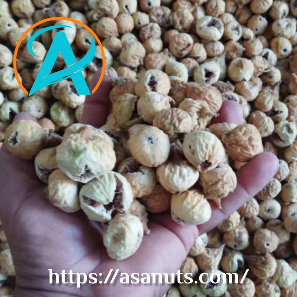 انجیر خشک استهبان در دست؛ نماد تازگی و اصالت