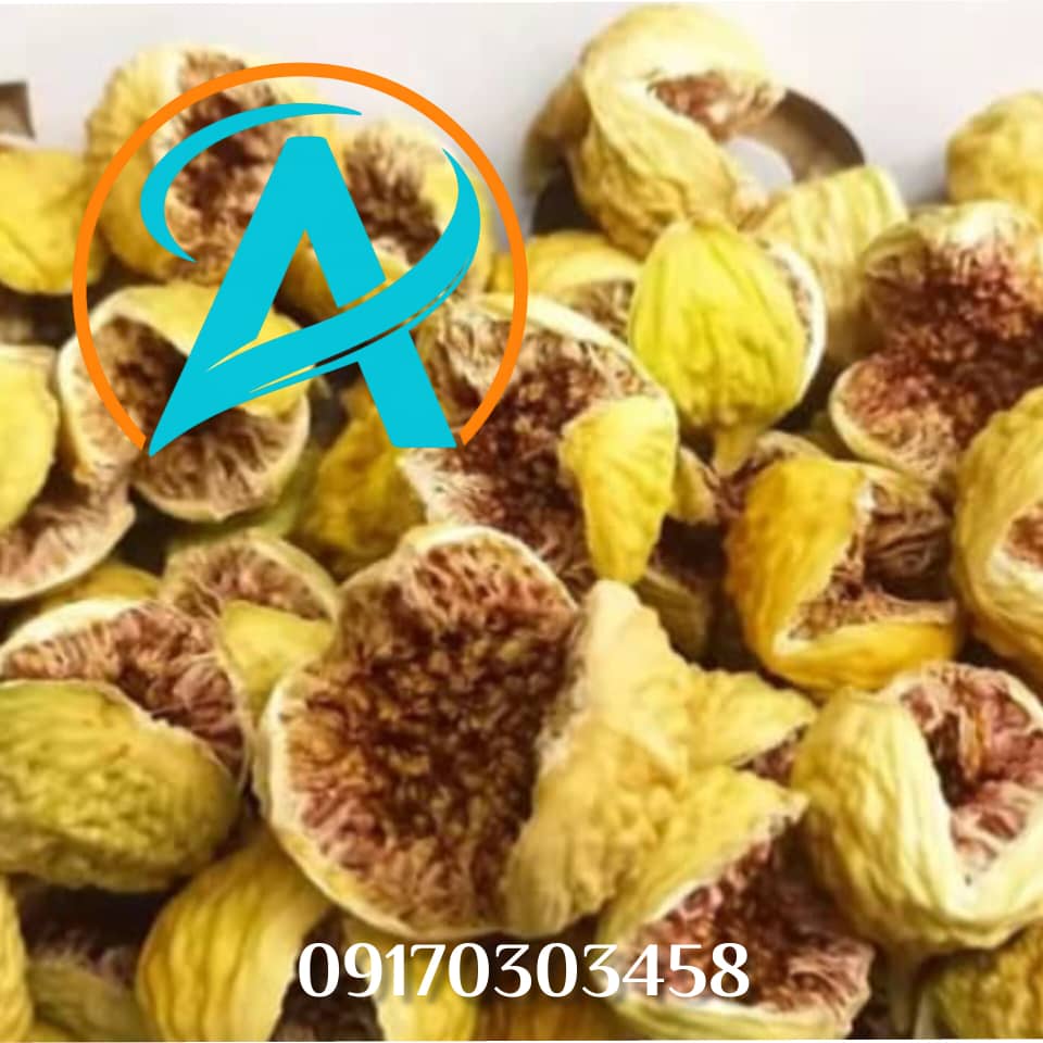 تمرکز بر صادرات و بازار بینالمللی