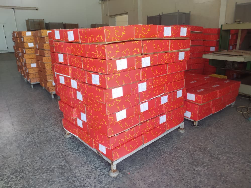 کارتن انجیر خشک کارتنی صادراتی با بستهبندی استاندارد