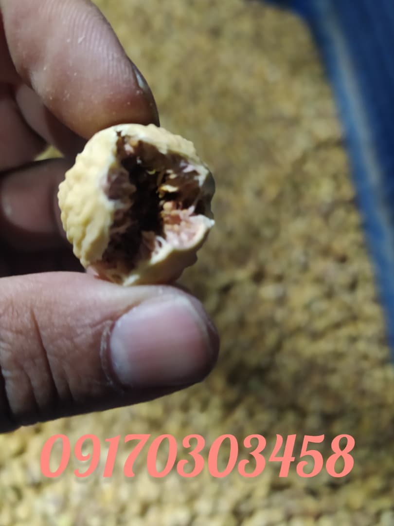 انجیر خشک استهبان