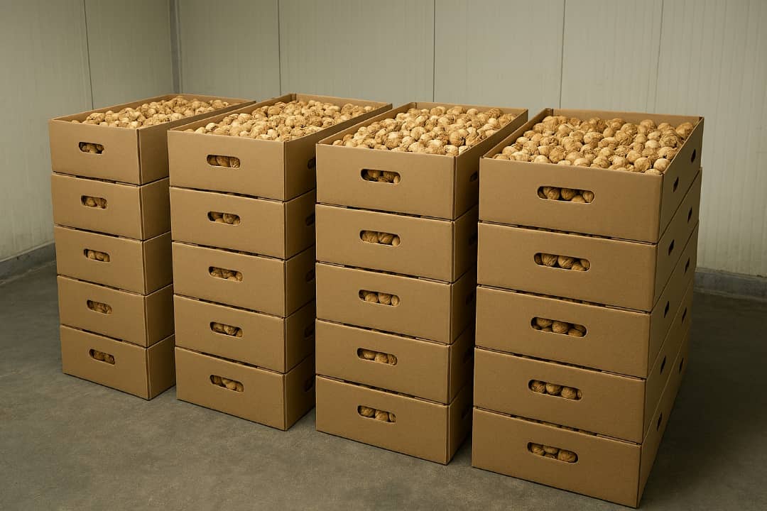 چندین کارتن انجیر خشک چیده‌شده در سردخانه صنعتی با دیوارهای عایق و کف بتنی