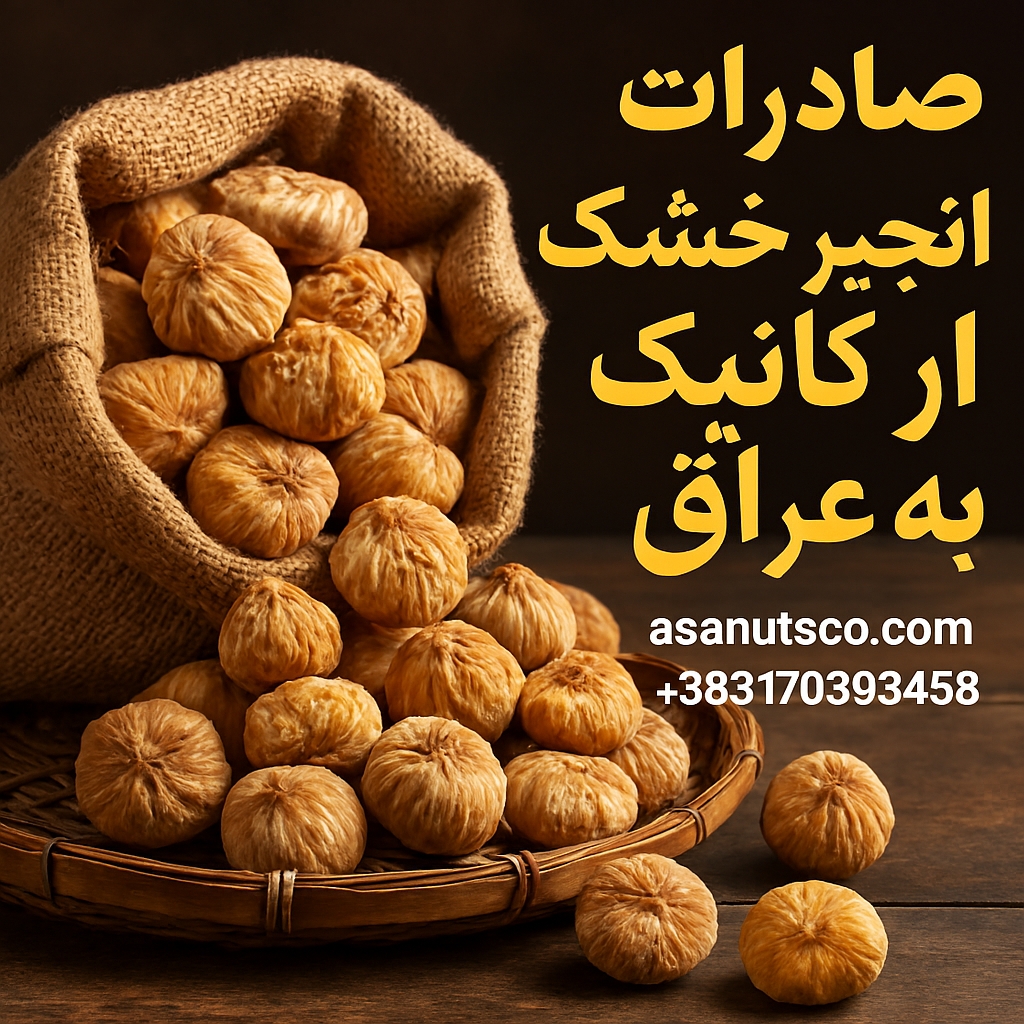 تصویر تبلیغاتی صادرات انجیر خشک ارگانیک ایرانی به عراق با بسته‌بندی حرفه‌ای و نقشه ایران و عراق
