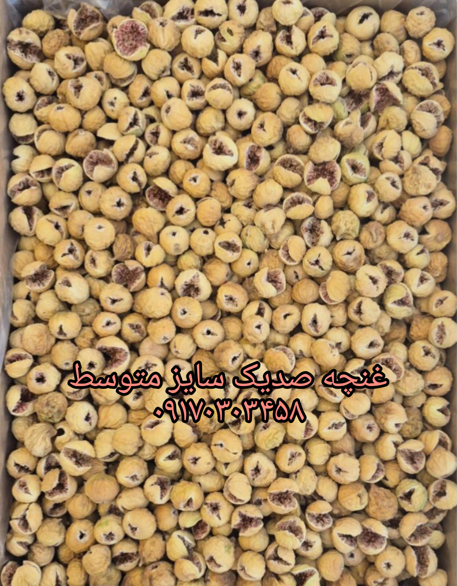 انجیر غنچه ثدیک سایز متوسط