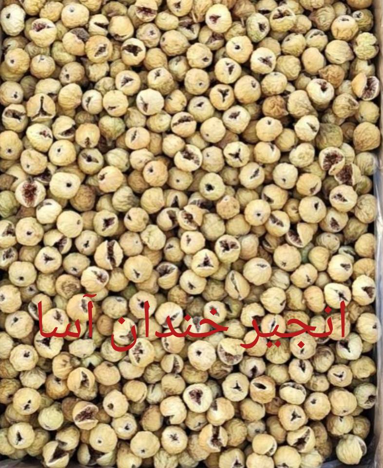 خرید انجیر روشن