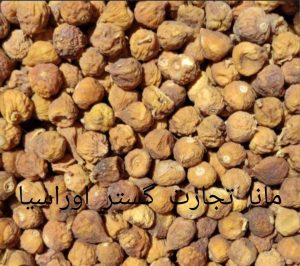 خرید انجیر 1405