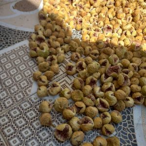 انجیر امسال