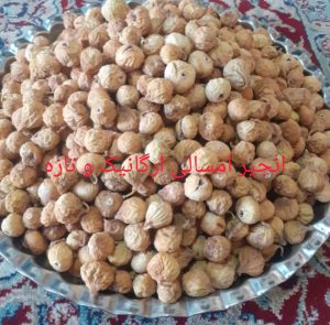 خرید انجیر امسال