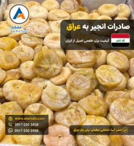 صادرات انجیر سکه ای به عراق