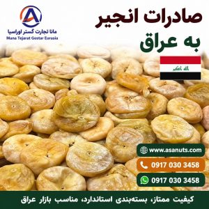 صادرات انجیر سکه ای به عراق