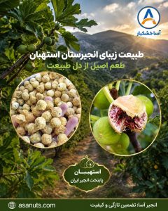 خرید انجیر پرک