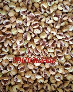 خرید انجیر صادراتی 1405
